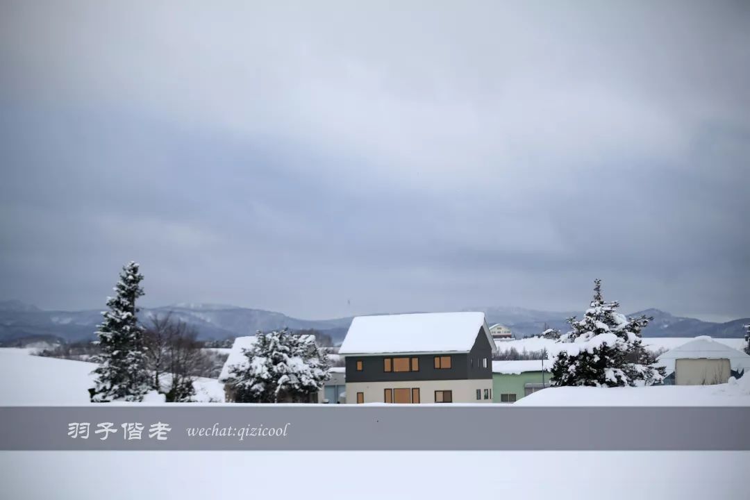 日本10天自由行费用北海道,东京北海道5日自由行攻略
