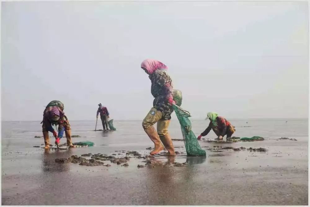 【读历史游盘锦】几许渔人飞短舟，尽载灯火归村路渤海金滩蛤蜊岗