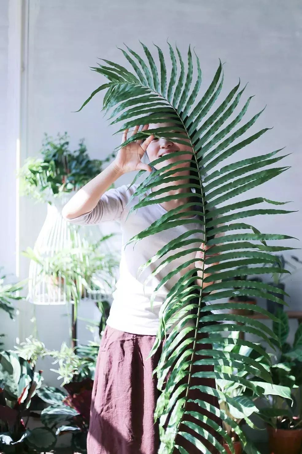 央美女生毕业作品,央美女生毕业