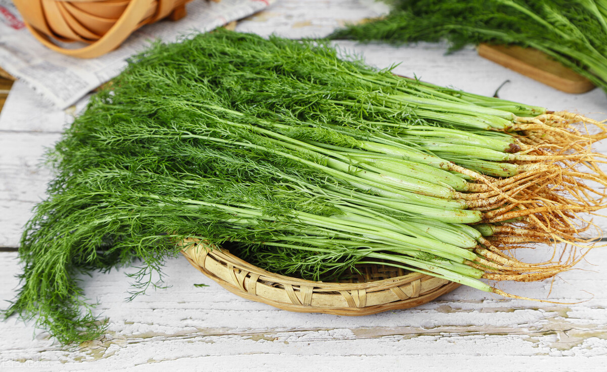 鸡蛋茴香馅包子调料做法,调茴香不能放什么调料