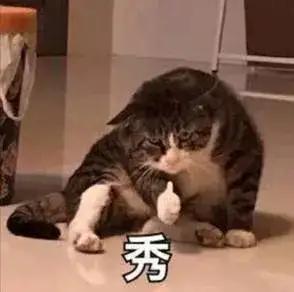 2020国家教育部自考改革文件,2024年教育政策改革自考文件