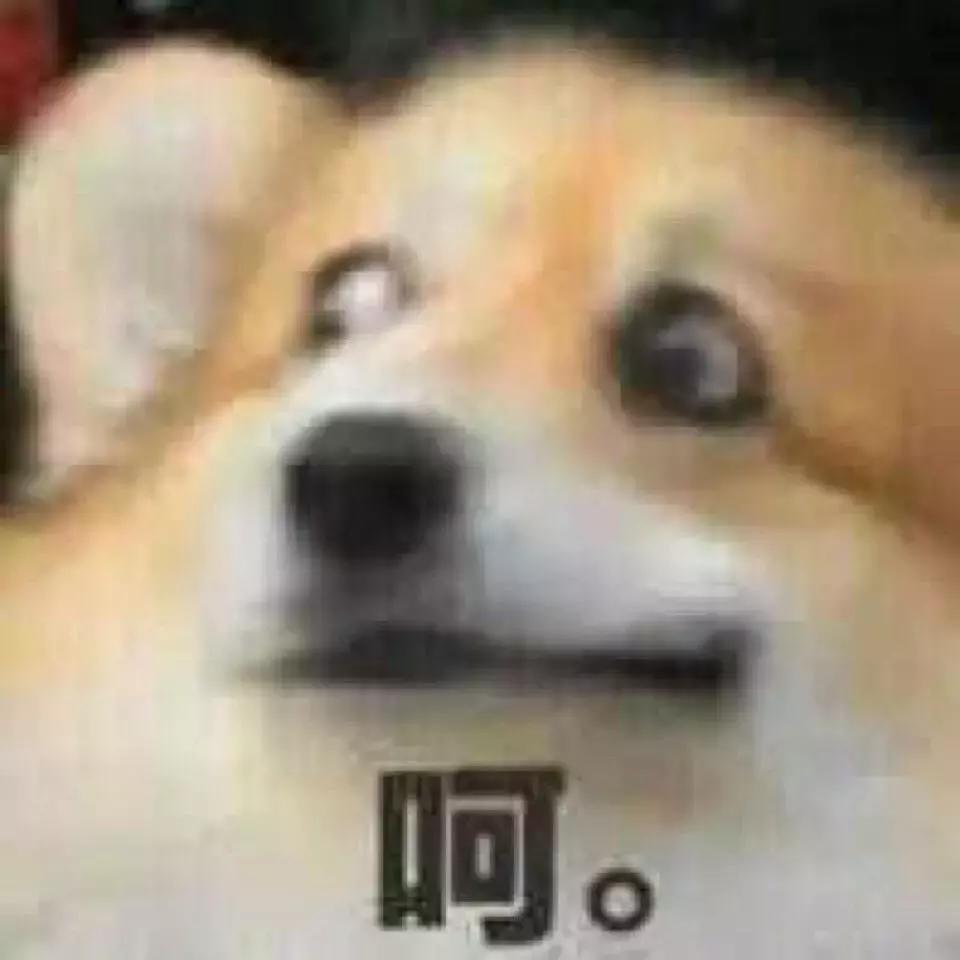 城市套路深,我求求你们不要再信这些了!