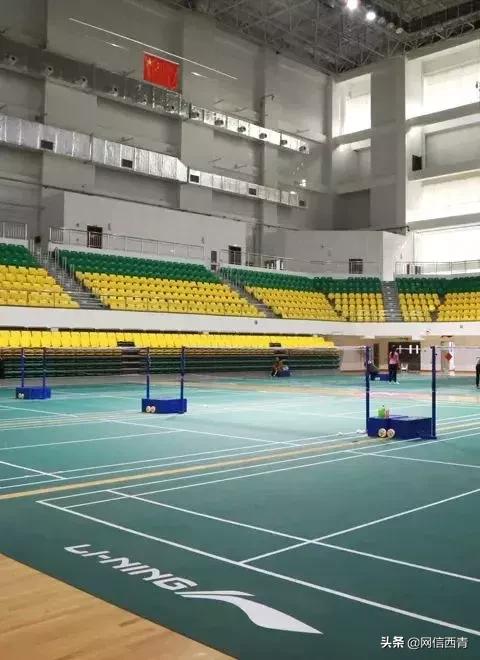 体操王子李宁走进天津西青——西青区全民健身运动会倒计时100天暨天津西青李宁运动中心开园活动举行