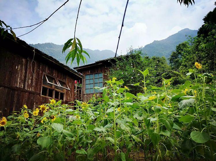 广东省内旅游景点推荐一日游,广东省内游自驾游推荐