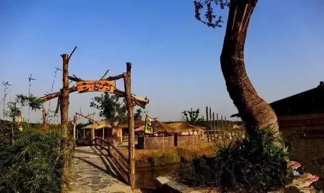 200亩，游客年超30万，这个用枯树建成的农庄牛在哪？