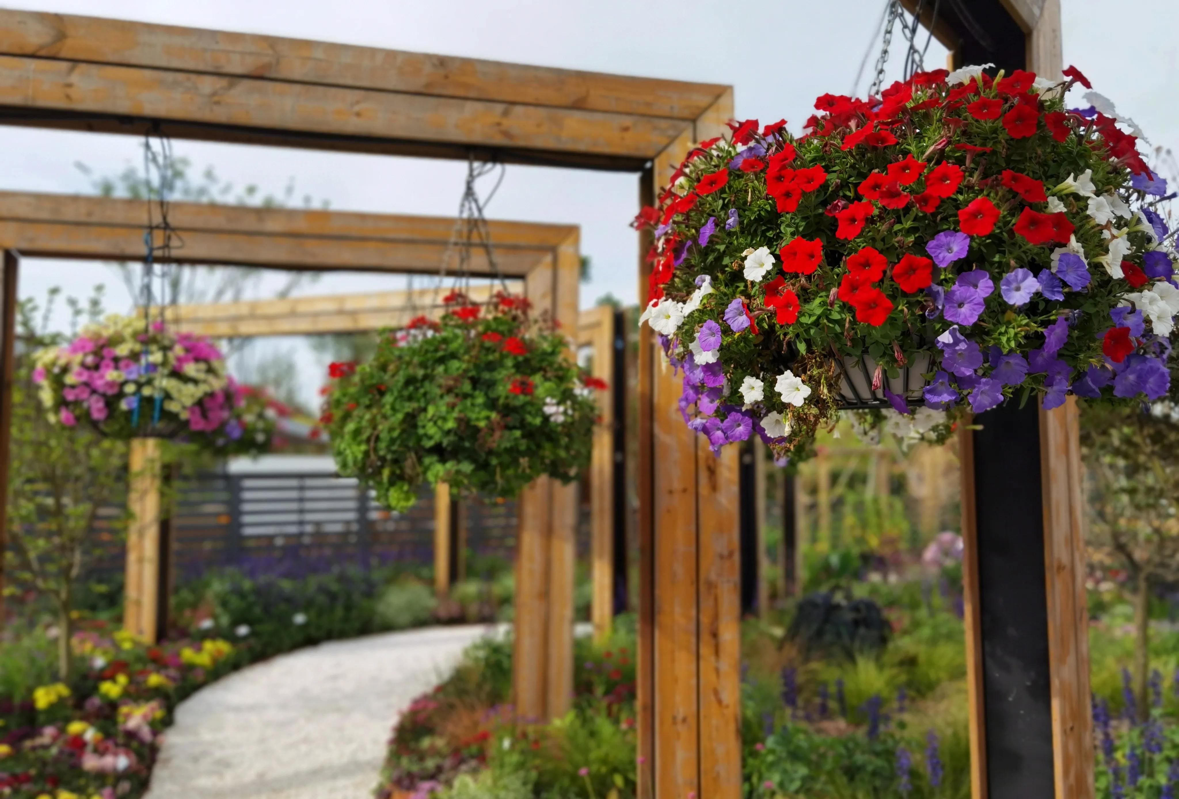 关于崇明花博会,崇明花博会全程花景