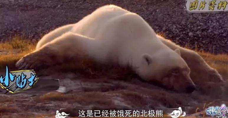 笑完后才发现的真实事件,笑完后才发现原来说的那么真实