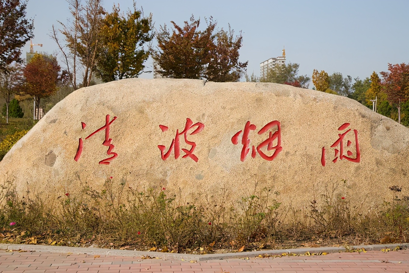 滨州有冬枣吗,产自哪里的冬枣最好吃