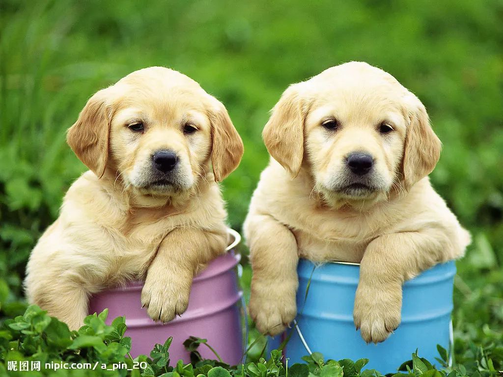 各位大侠,大侠请留步全部人物