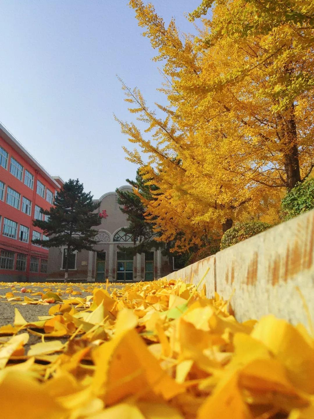 辽宁工程技术大学辽宁省分数线,辽宁工程技术大学在辽宁省排名