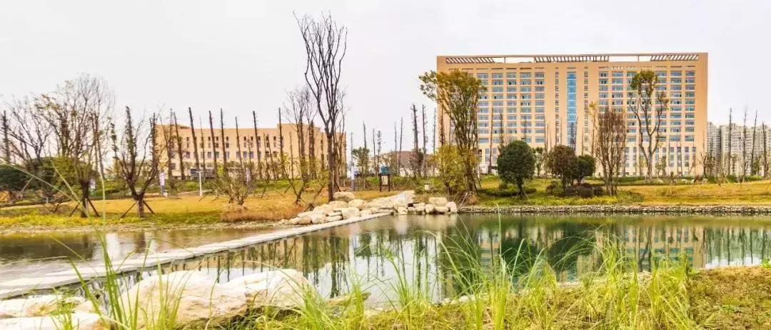 成都郫都区人民医院新院区,郫都区人民医院医疗水平