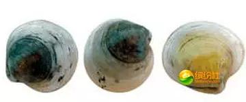 舟山4月份海鲜攻略,舟山海鲜代加工攻略