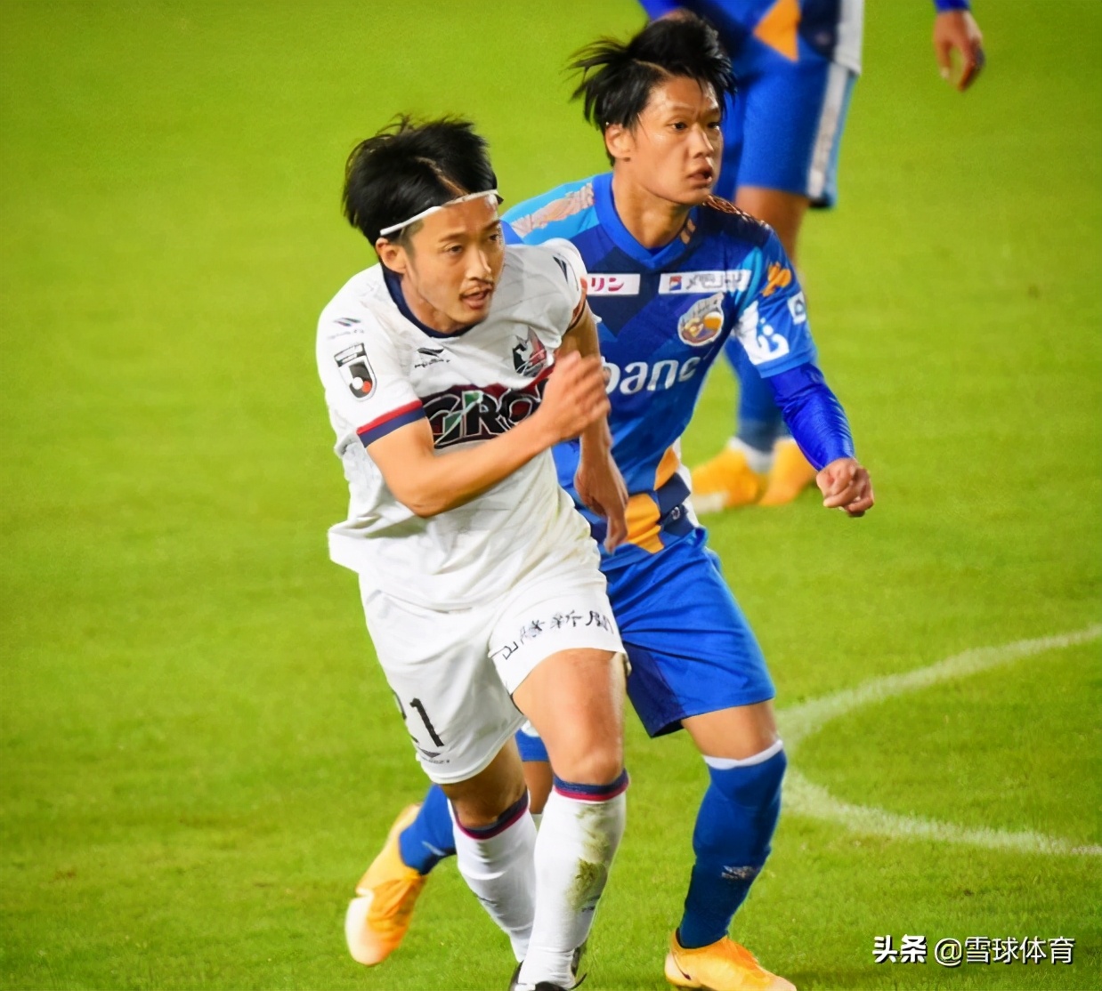 日职乙福冈黄蜂vs町田泽维,日职联今日福冈黄蜂推荐比分预测