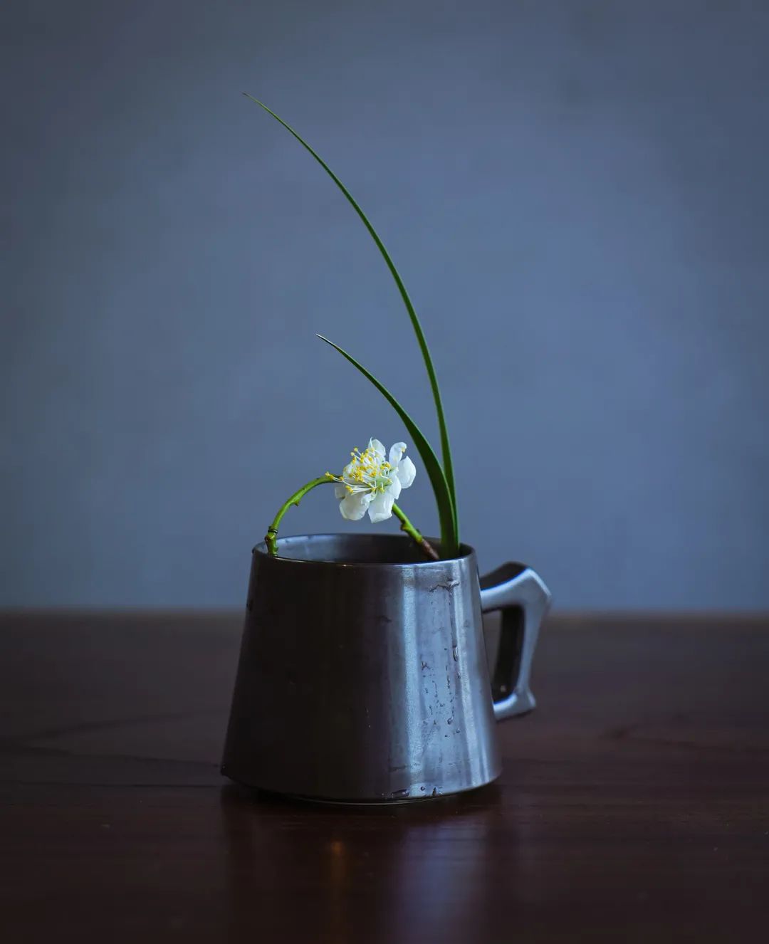 带你了解世界每一个角落,八大花艺流派