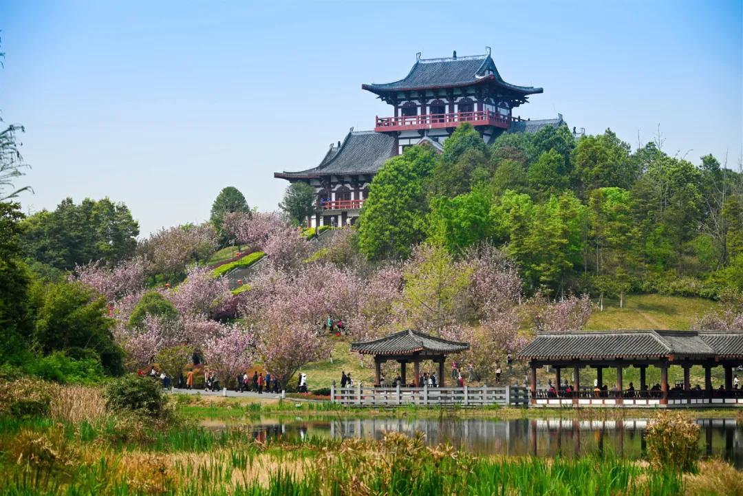 鏍戝眿鍚冪悆,鏍戝眿鐏攨