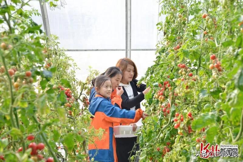 邯郸自驾游看花十大排行榜,石家庄48条春观花旅游线路