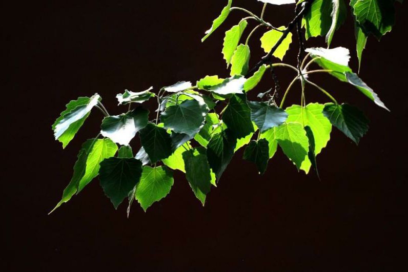 80后童年的快乐记忆：没玩过15种以上你都不好意思说自己年少过