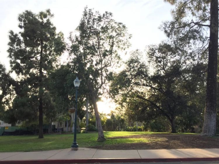 给出国留学生4条留学必知建议,留学陷阱大揭秘