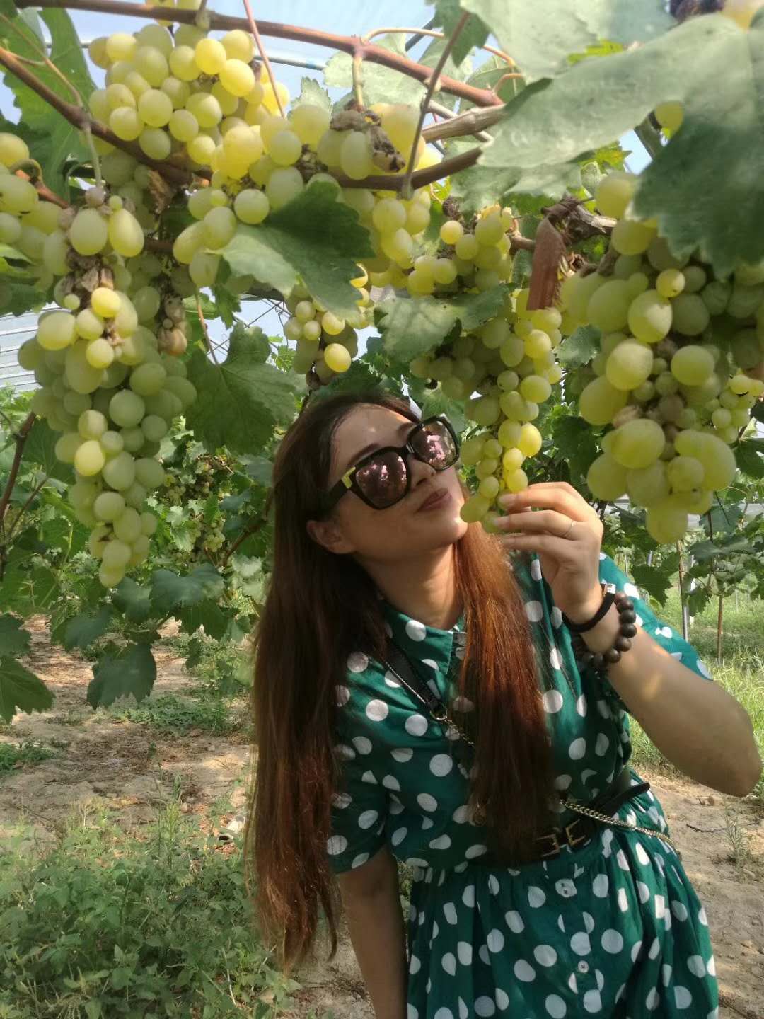 高中英语易错的知识点实例精讲,高中英语语法知识点精讲