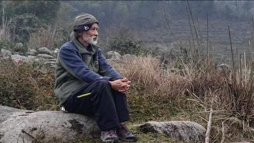 莽山烙铁头毒蛇排行,莽山烙铁头蛇全球排名第几毒