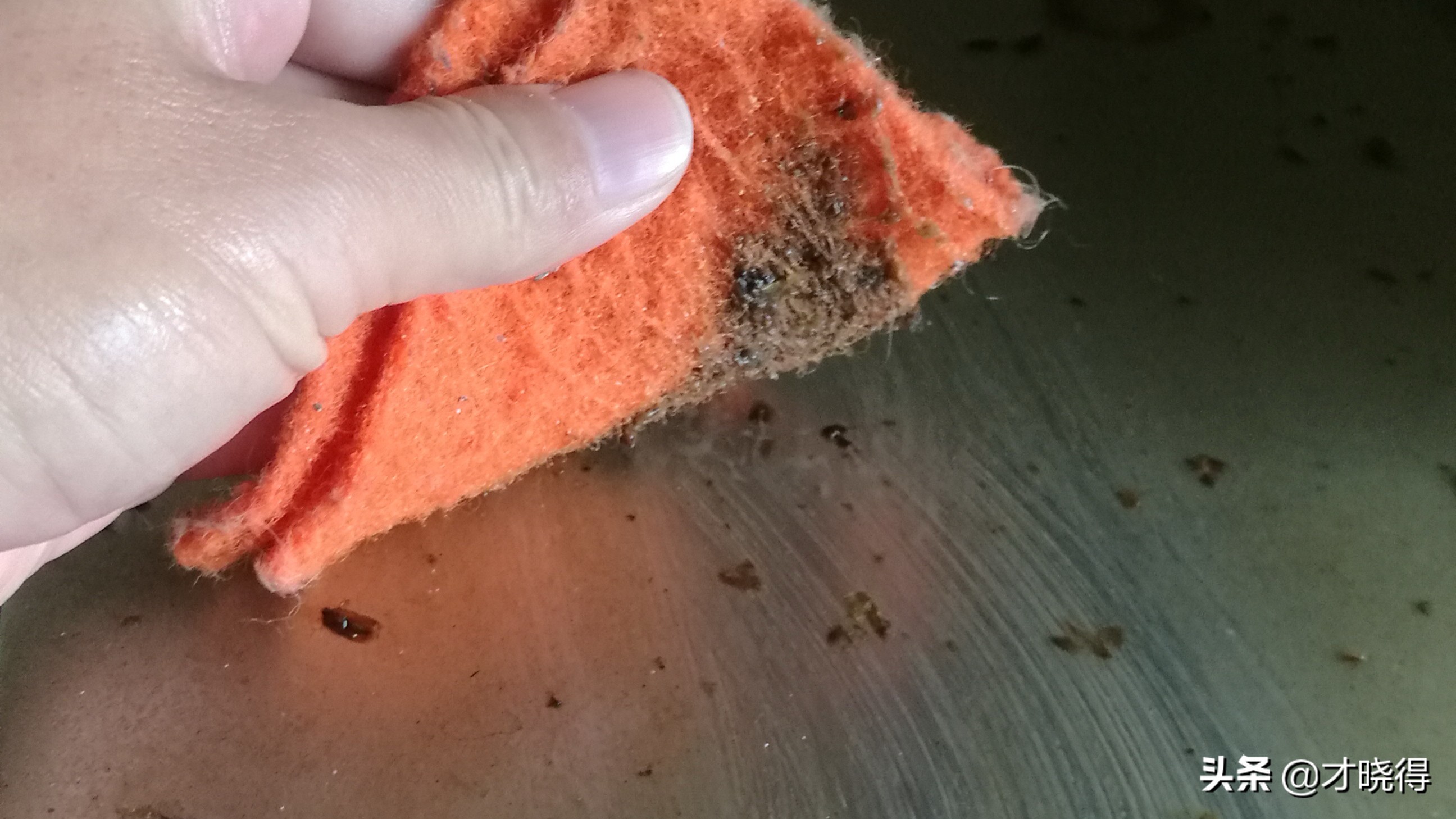 家用厨房清洁防油贴,纯碱片怎样清洗油烟机