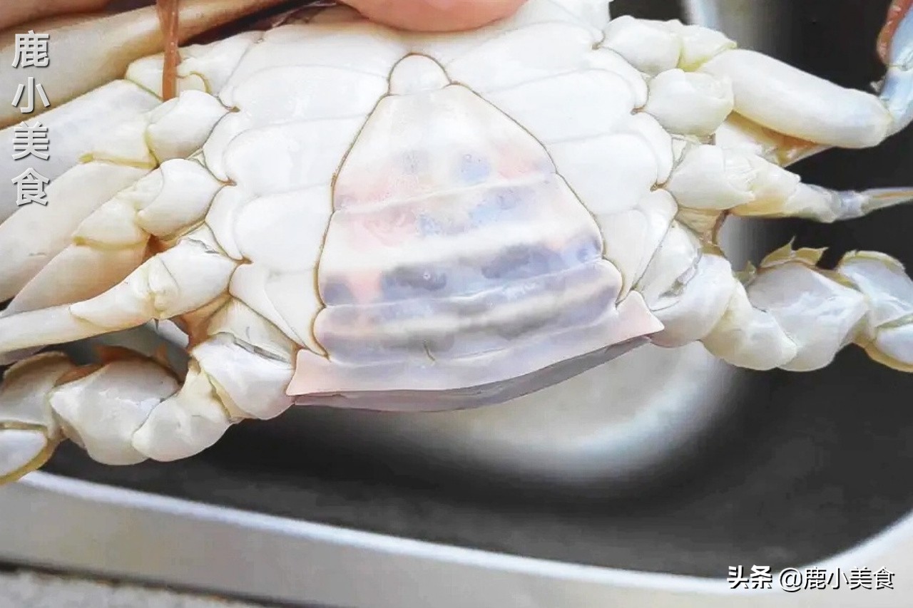 梭子蟹不肥怎么办,梭子蟹不挑黄色的