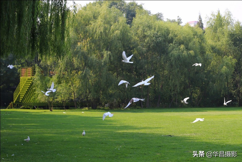 北京紫玉山庄简介,北京紫玉山庄公园