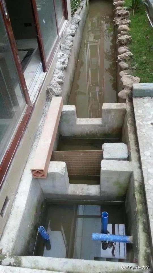 鱼池全部建造过程,鱼池建造大型全过程