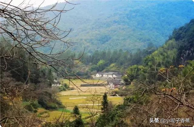 回到梅州你后悔了吗,你回梅州了吗