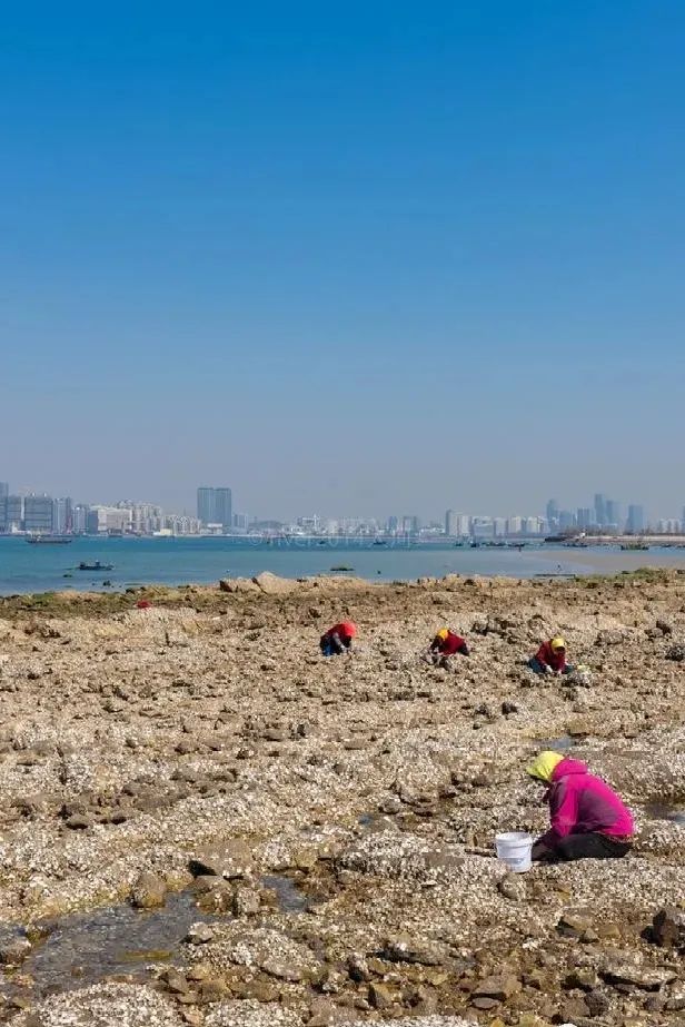 青岛西海岸啤酒节攻略,青岛西海岸周末去哪玩