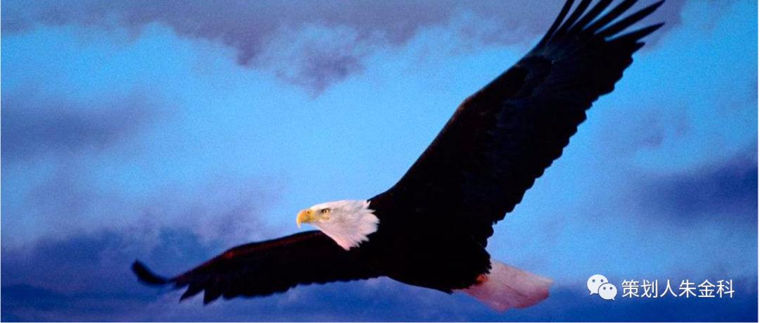 好名字带来的运气,幸运从起一个好名字开始