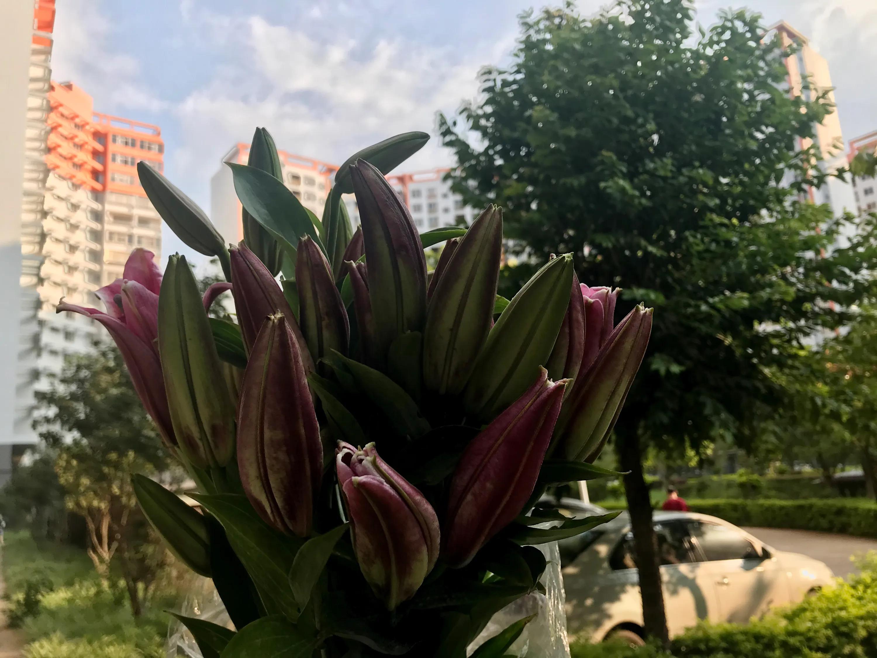 在老挝的幸福小日子,记录在玉溪的日子