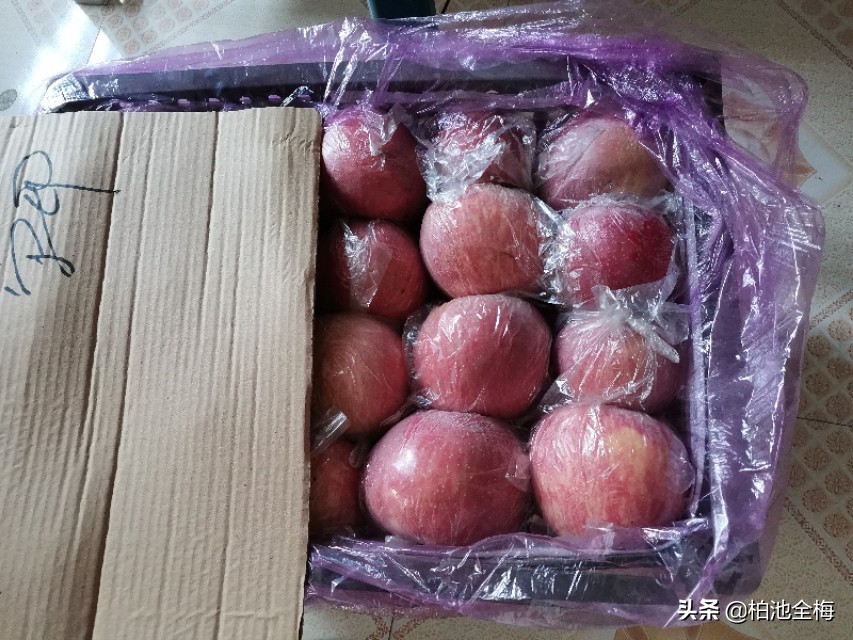 找到了情趣找到了生活