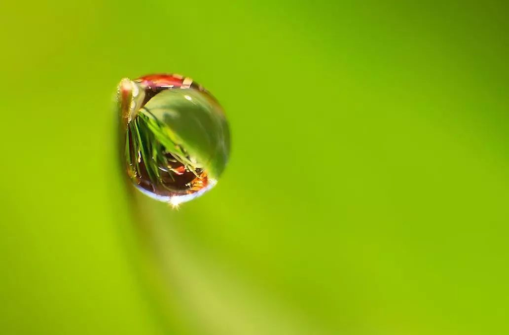 苹果xr手机拍照微距怎么弄,小米手机微距拍摄技巧