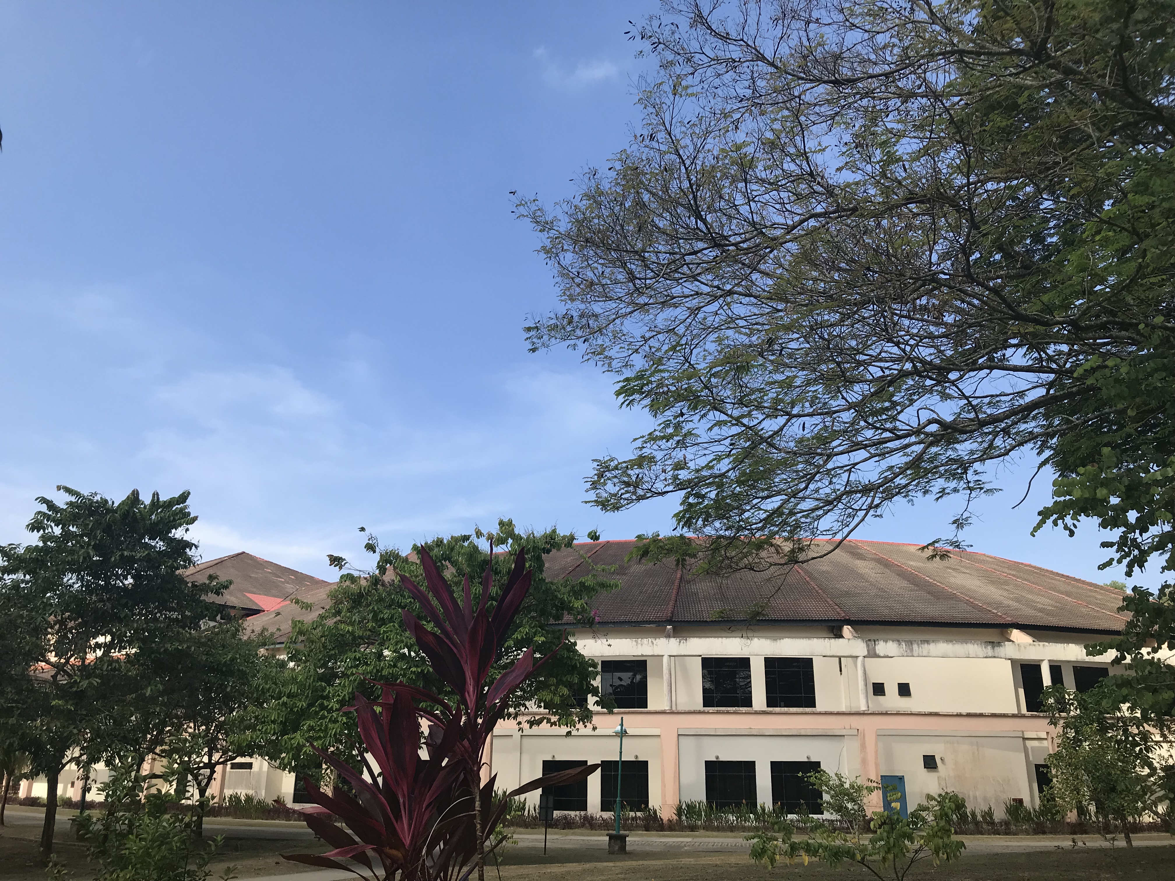 马来西亚沙巴旅游攻略详细,马来西亚沙巴好玩不