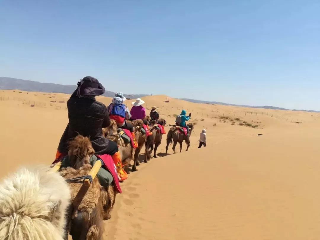 世纪悦途国际旅行社,世纪悦途旅游京津冀