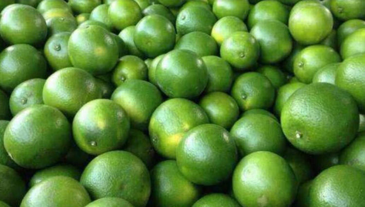 海南除了吃的还有啥特产,椰子特产在海南