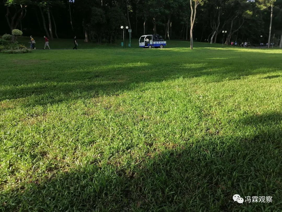 从清茶中飘出来的悠美短文！（文化观察之一O三）