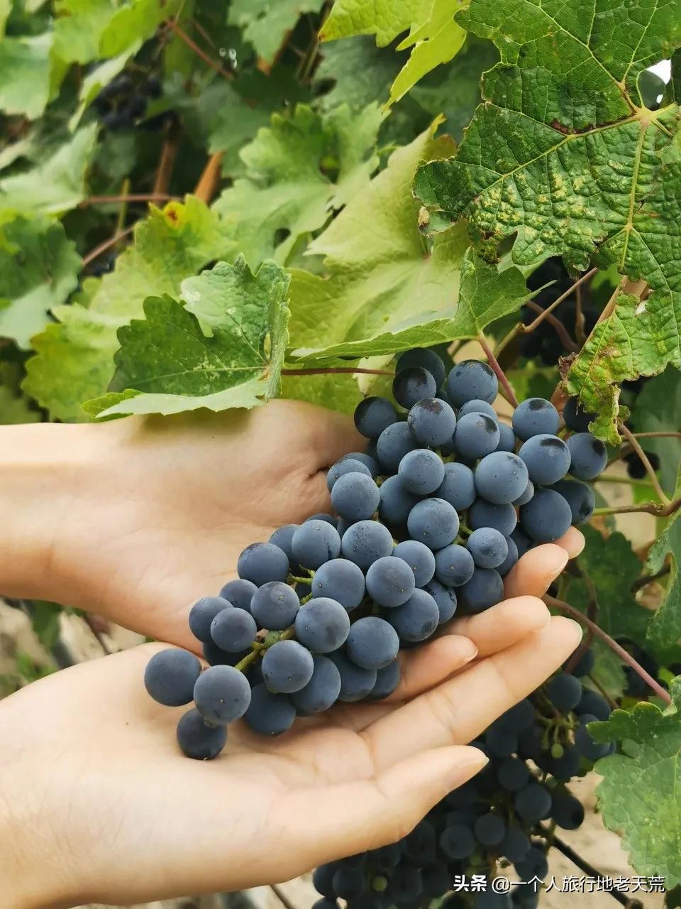 西北第一条高铁,苦等11年