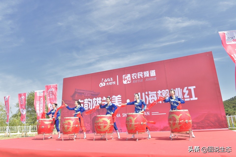 山海关:一沟大樱桃换来半坡别墅