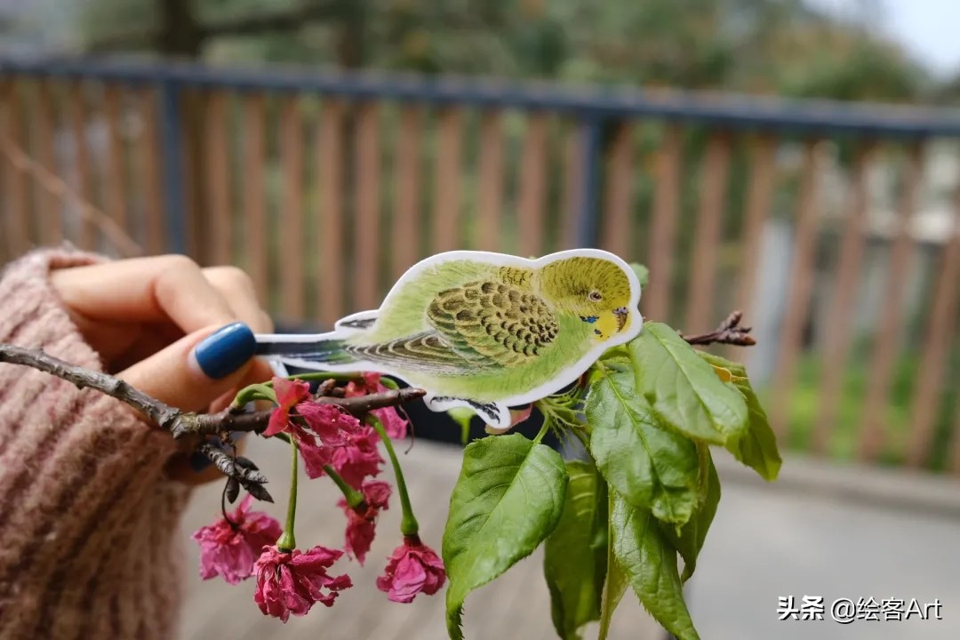 写意国画怎样配色,最好的小写意国画