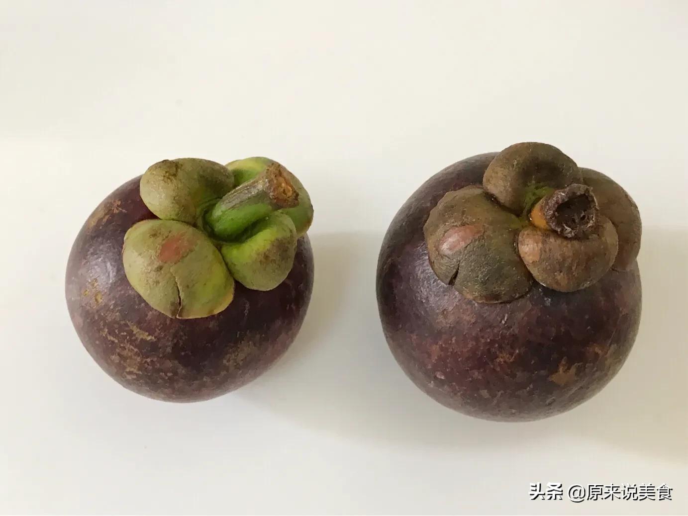 山竹怎么挑选公母不白吃,海南野生山竹树怎么分公母