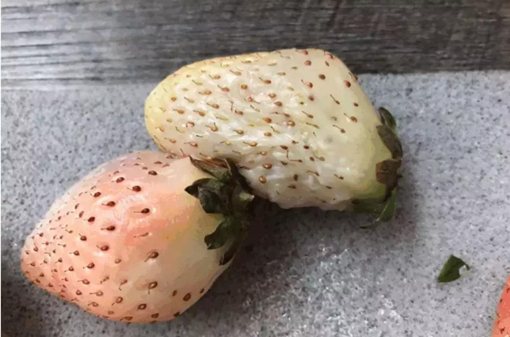 拼多多买水果哪家店好,拼多多买水果平台