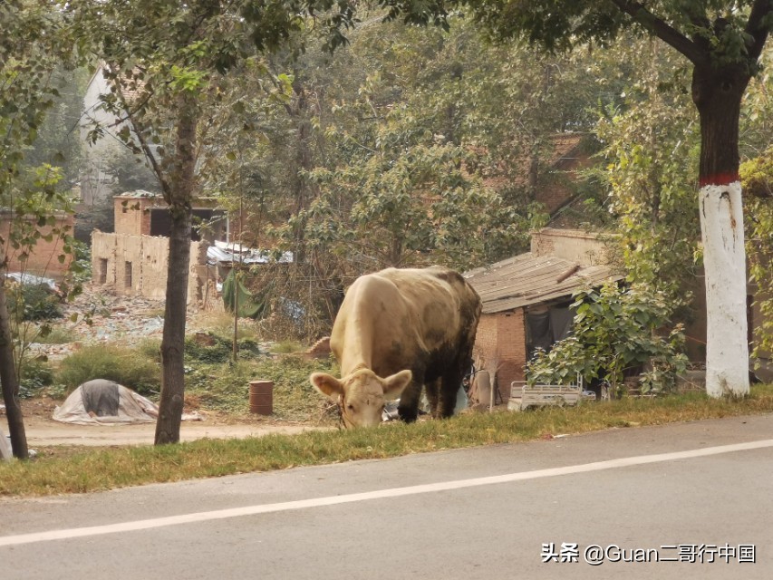 兰考县厉害在哪,河南兰考县啥出名