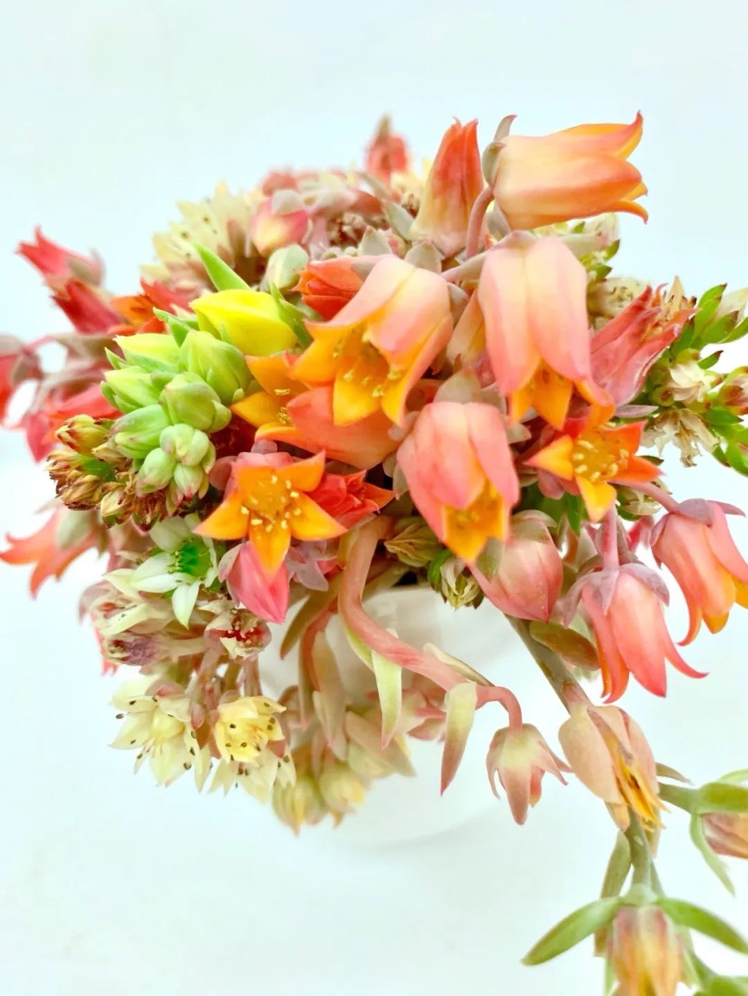 禁足的日子收获颇多,禁足