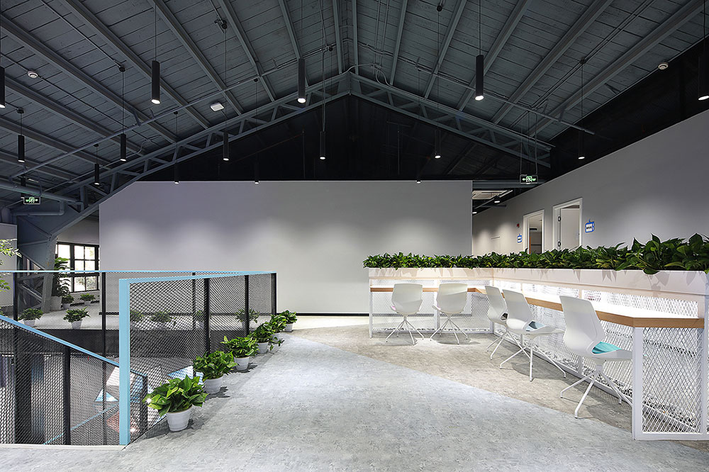 哔哩哔哩抖音总部,blg和哔哩哔哩的关系