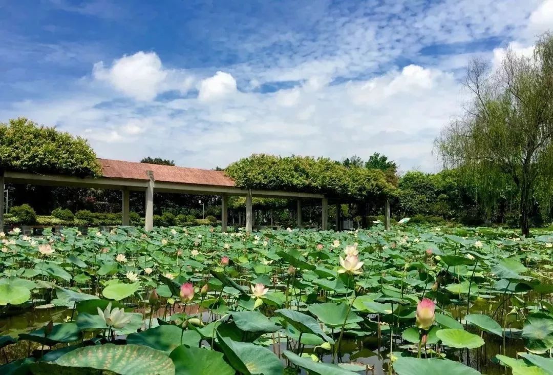 佛山三水哪里的楼盘比较值得购买,佛山三水瀚洋居房子值得购买吗
