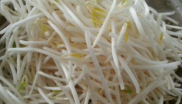 豆芽不用买,豆芽菜不带芽能不能吃