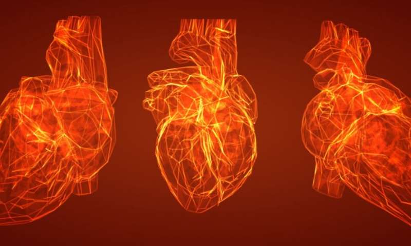 科学家发现心脏衰竭的新线索,近期突发心脏骤停的科学家