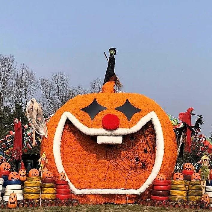 春暖花开来农村踏青,春暖花开亲近大自然来一场野炊